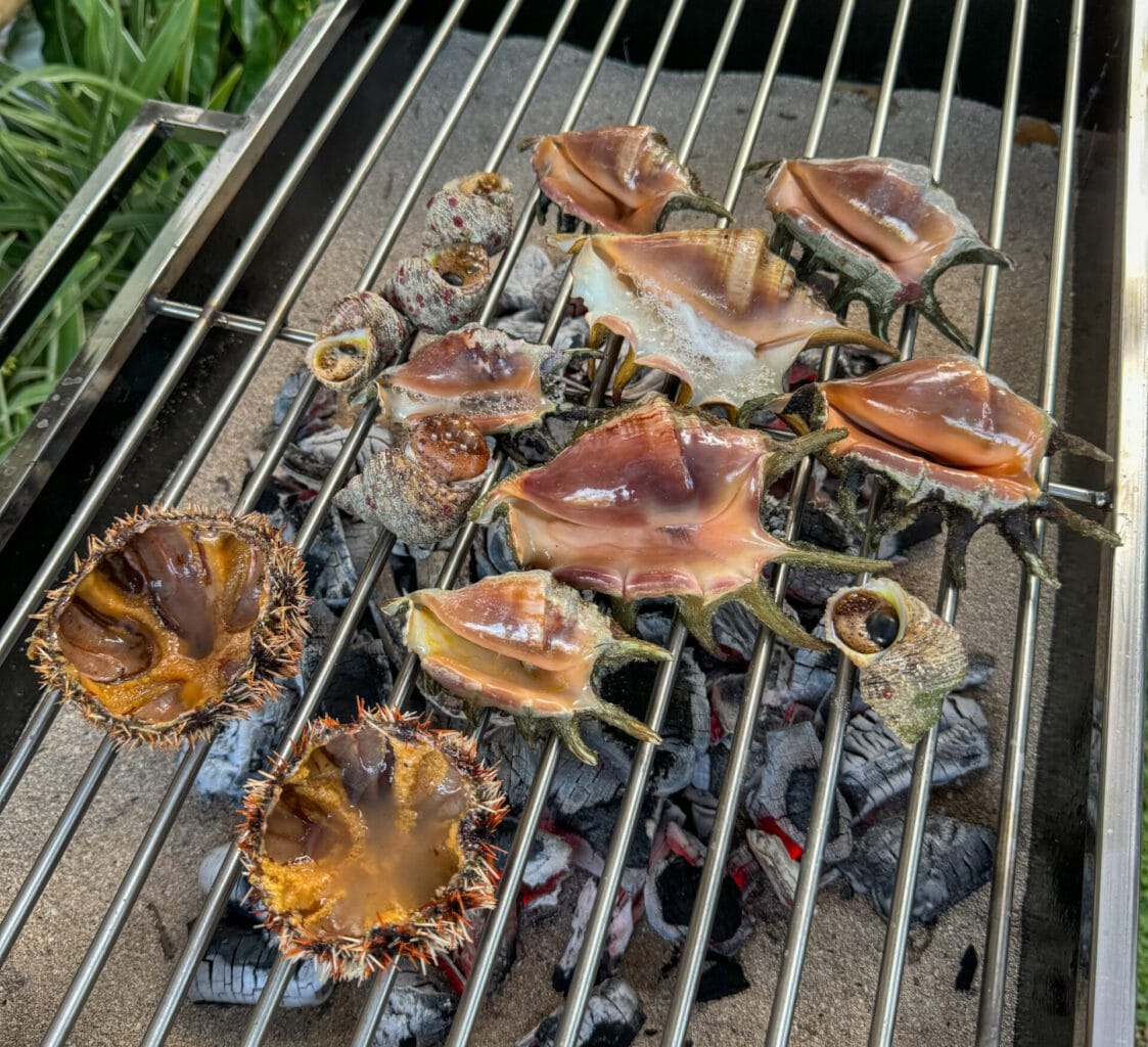 Local Sea Urchin and Saang