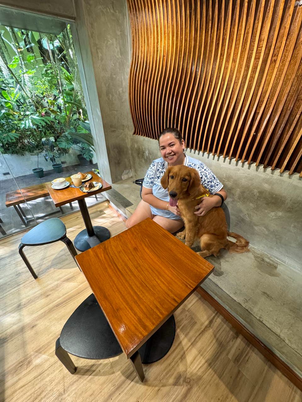 Penny my golden retriever puppy in St. Thomas Cafe Best Coffee and Pastries in Siargao Island, Philippines